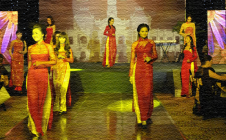 Traditional Vietnamese Cultural Show